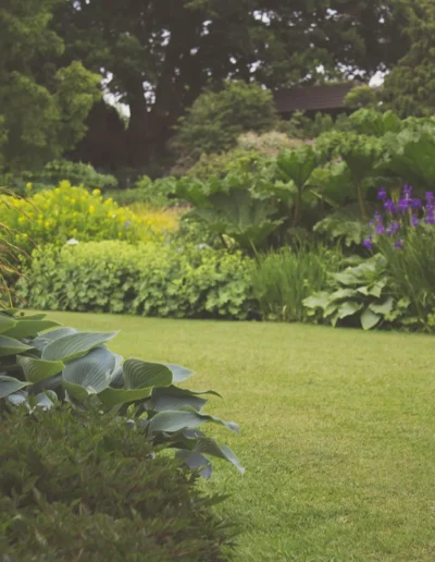 Garden Bed Planting